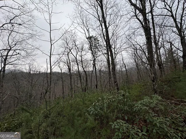 $47,000 | Lot 21 Whisper Ridge, Unit 21, Hiawassee, GA 30546
