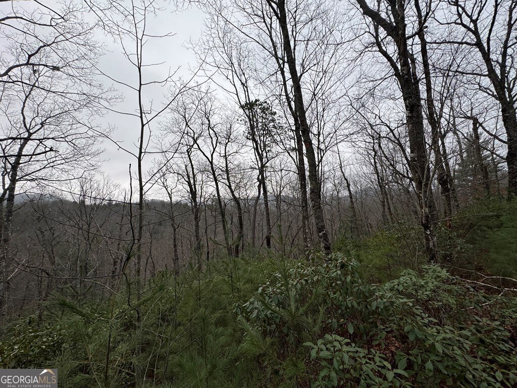 Lot 21 Whisper Ridge, Unit 21 Hiawassee, GA 30546 - Photo 8 of 18