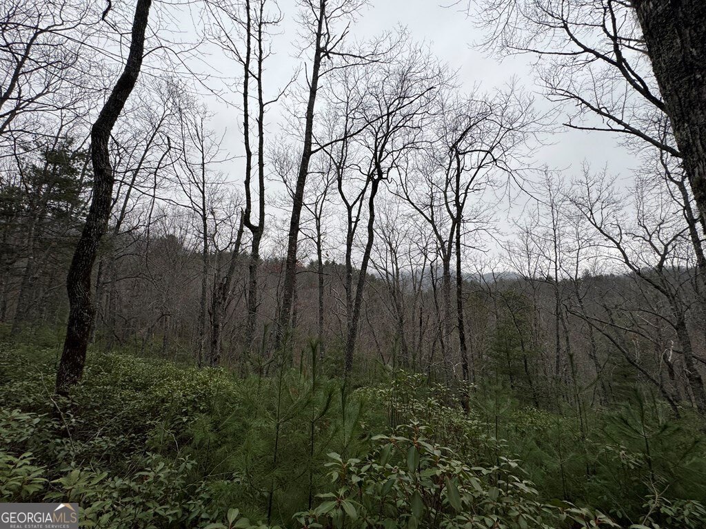 Lot 21 Whisper Ridge, Unit 21 Hiawassee, GA 30546 - Photo 9 of 18