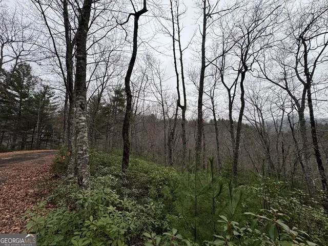 $47,000 | Lot 21 Whisper Ridge, Unit 21, Hiawassee, GA 30546