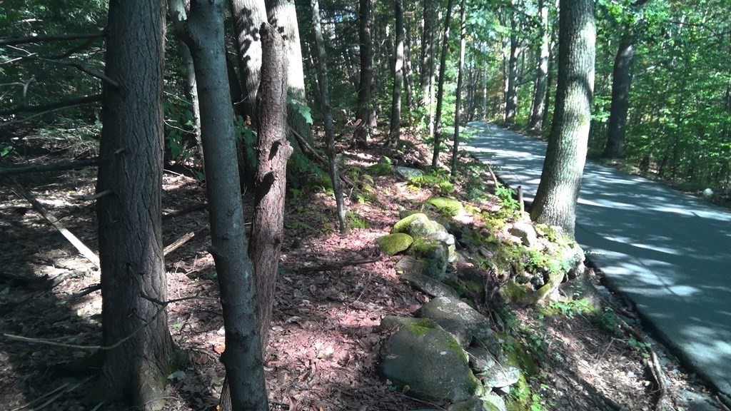 0 Avery Brook Road Heath, MA 01346 - Photo 3 of 10 Gallery Image 3