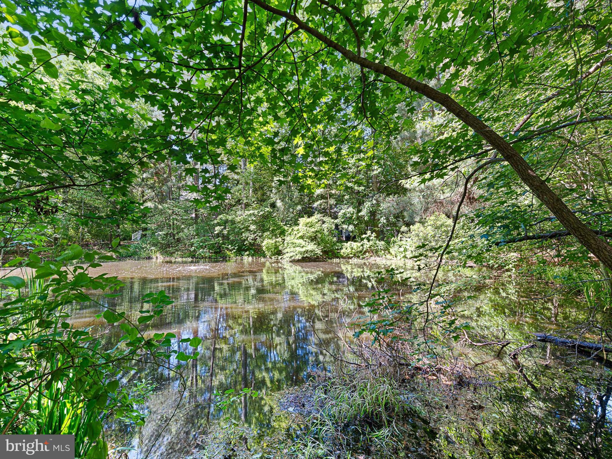 715 Foxtail Drive Bethany Beach, DE 19930 - Photo 11 of 63 Pond in Rear Yard