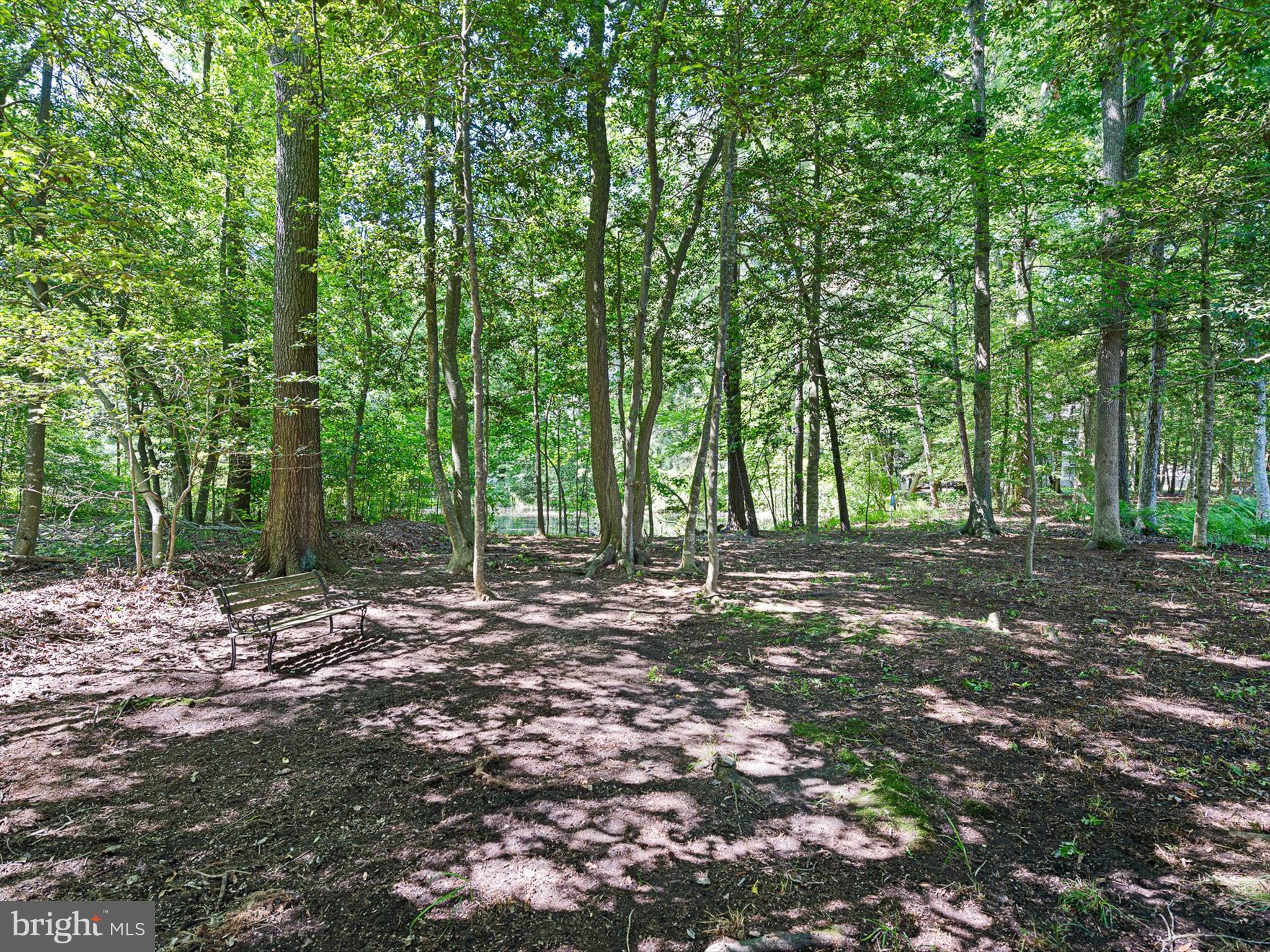 715 Foxtail Drive Bethany Beach, DE 19930 - Photo 12 of 63 Rear Yard Looking Toward Pond