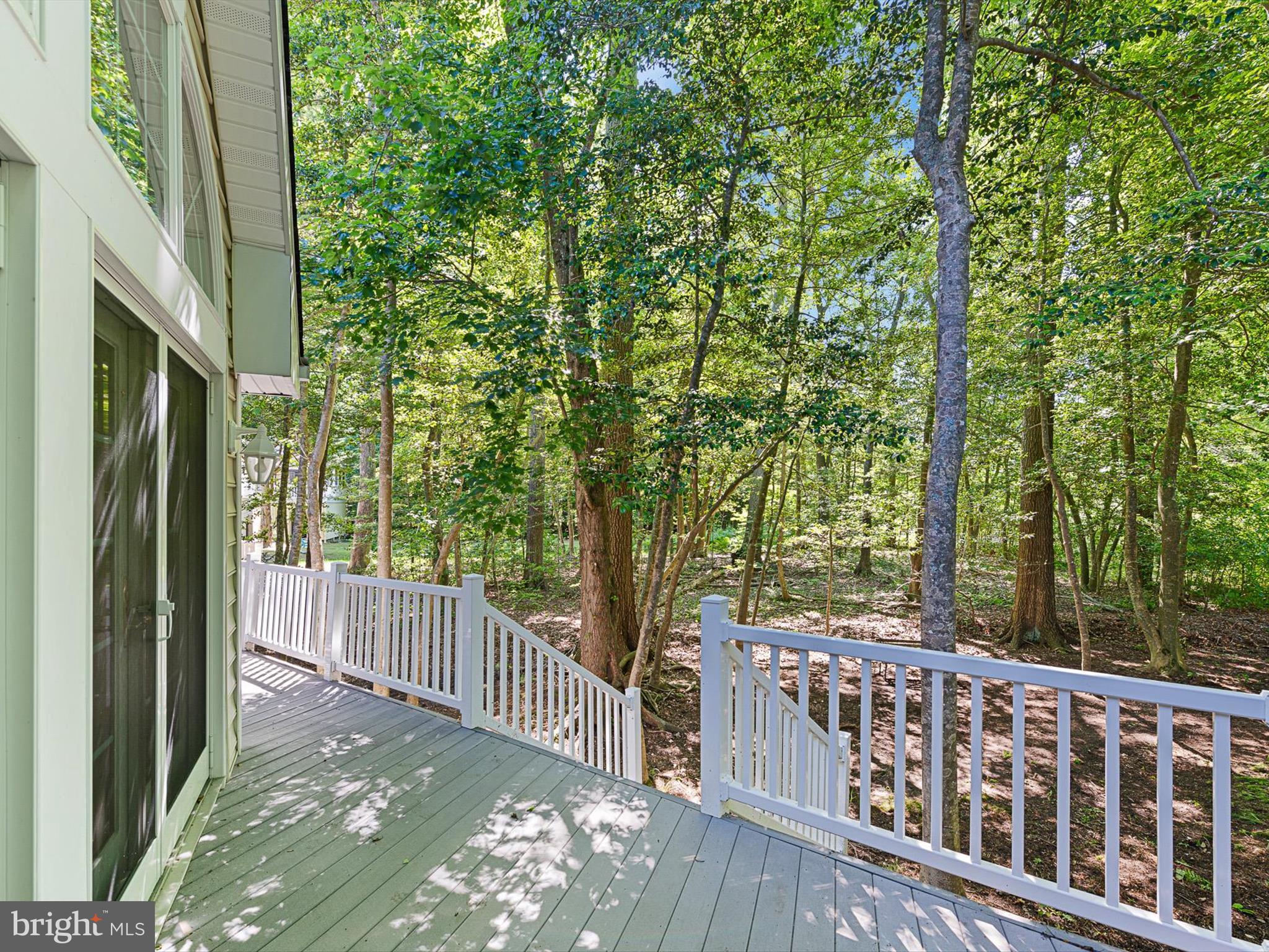 715 Foxtail Drive Bethany Beach, DE 19930 - Photo 14 of 63 Rear Deck