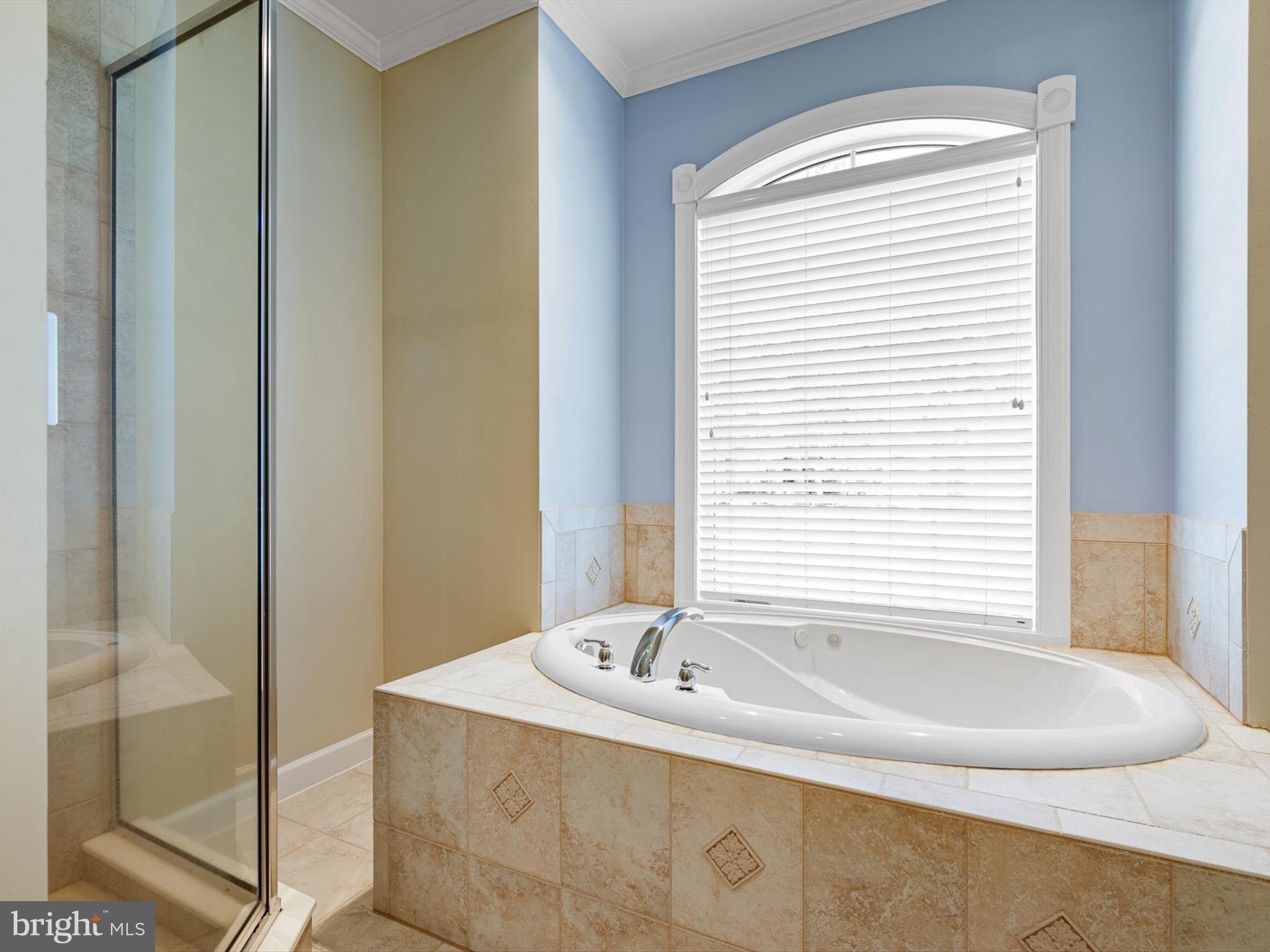 715 Foxtail Drive Bethany Beach, DE 19930 - Photo 29 of 63 Ensuite Garden Tub