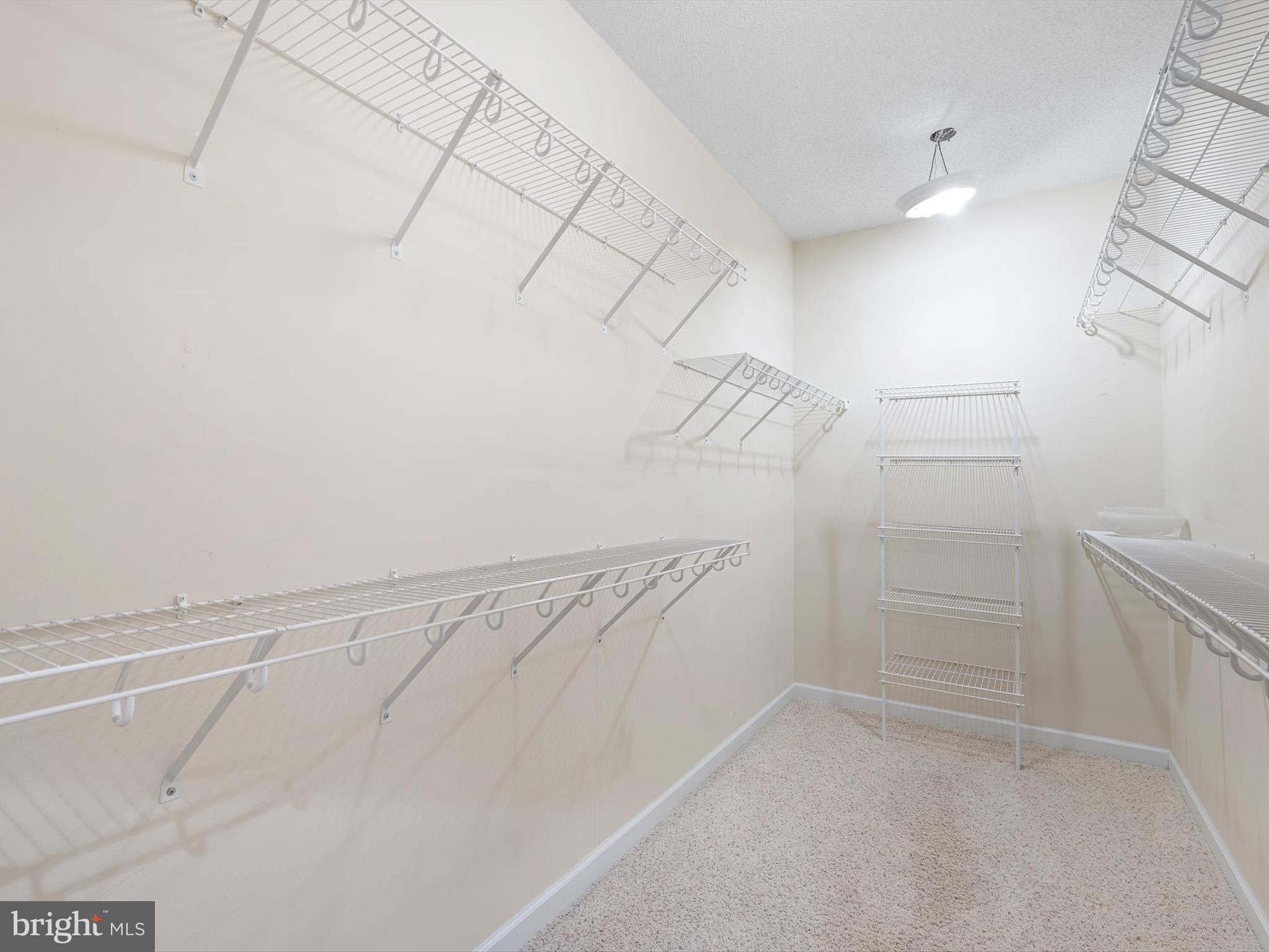 715 Foxtail Drive Bethany Beach, DE 19930 - Photo 31 of 63 Walk In Closet in Primary BR