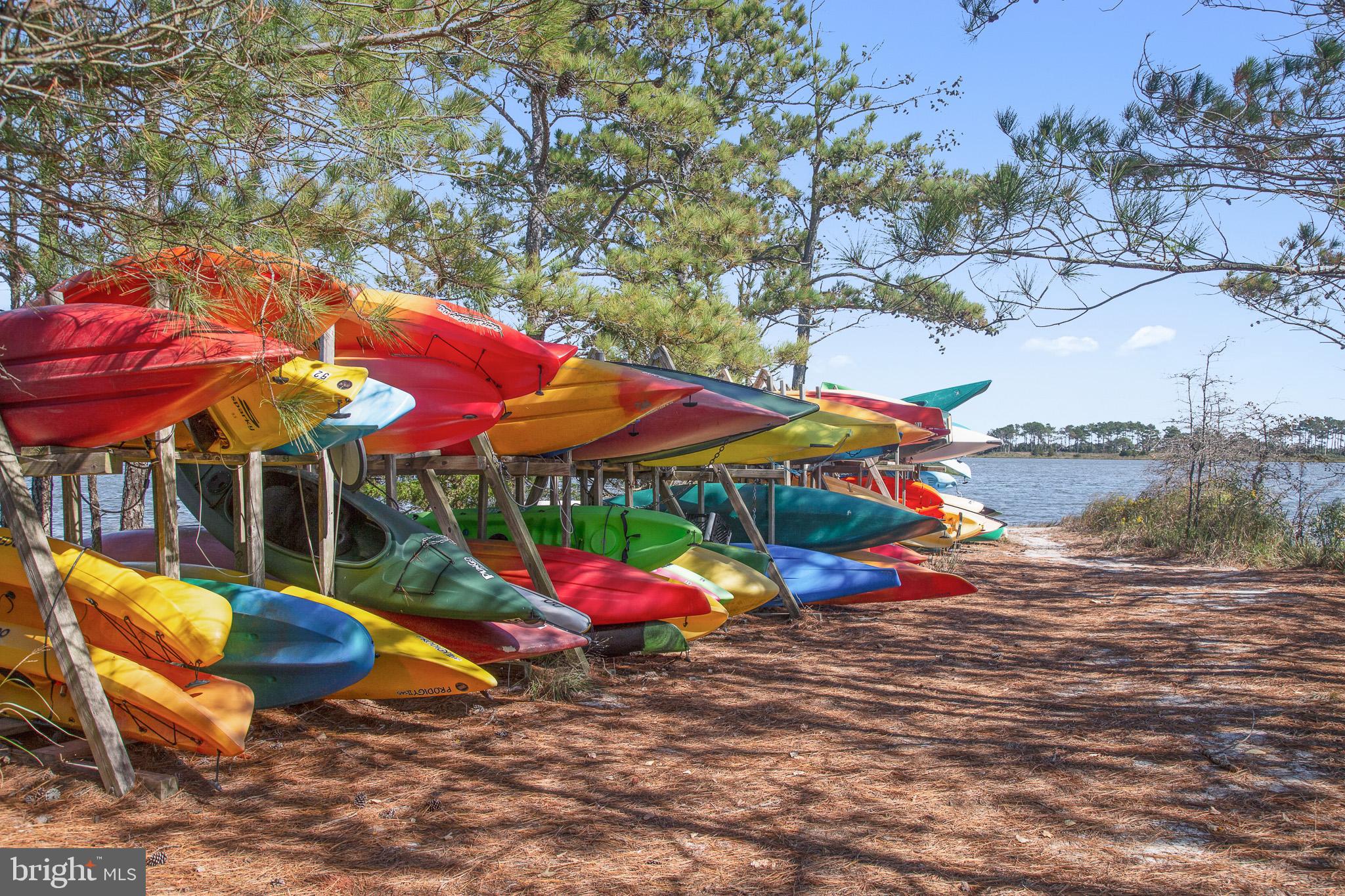 715 Foxtail Drive Bethany Beach, DE 19930 - Photo 61 of 63 Kayak Storage