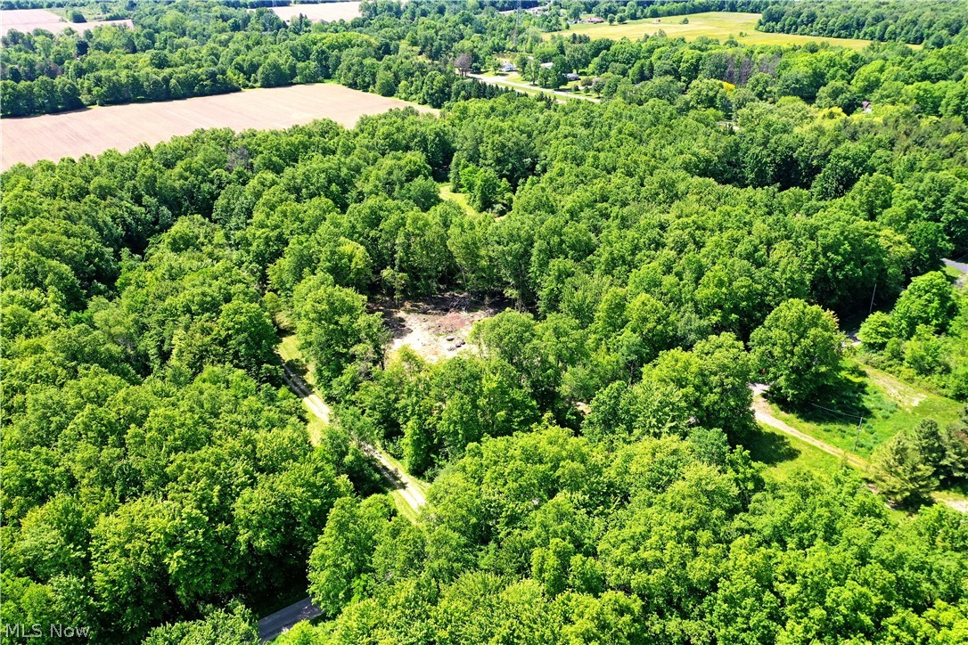 Mahan Denman Road Bristolville, OH 44402 - Photo 8 of 20