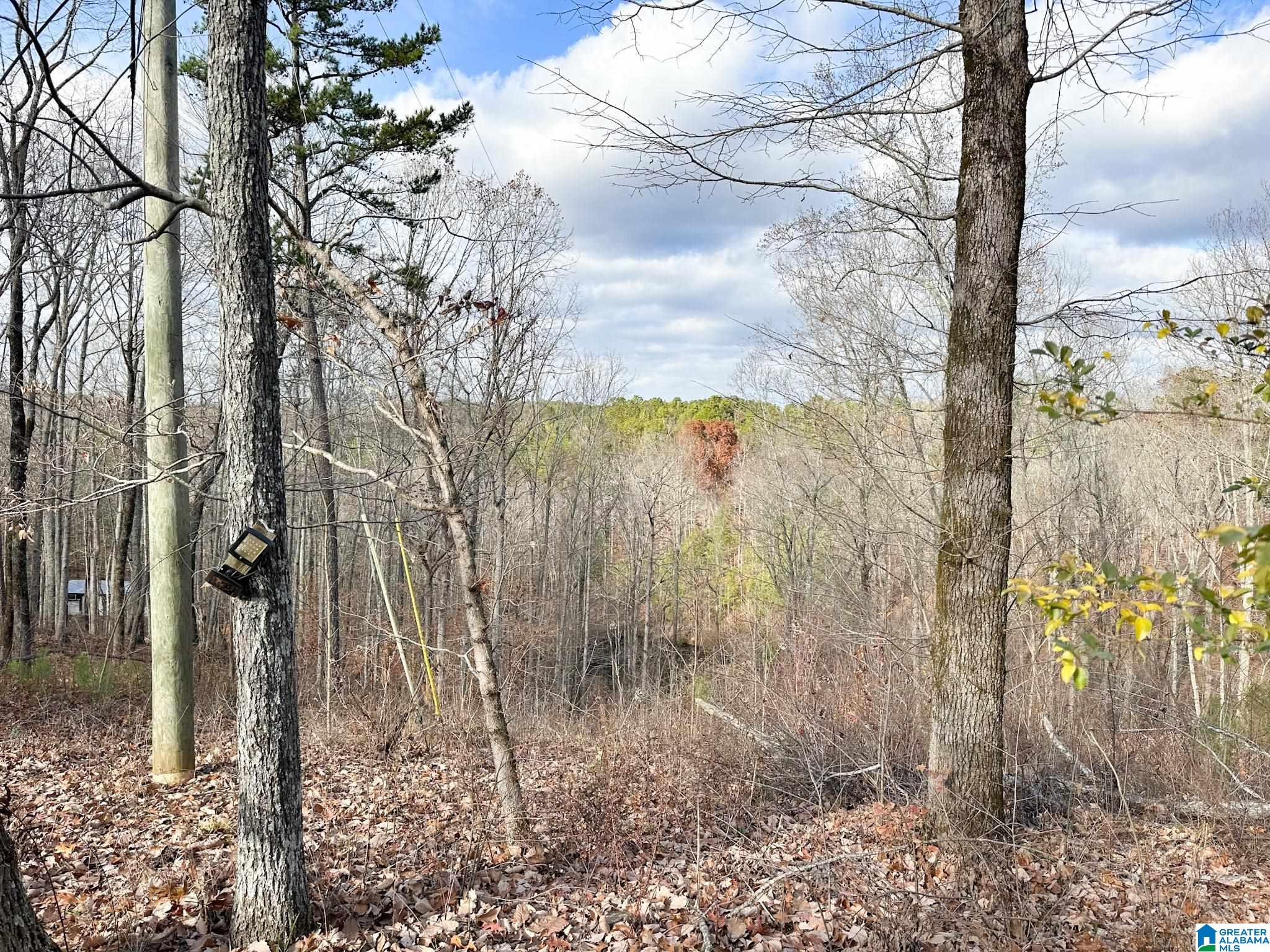 5325 Union T Road Talladega, AL 35160 - Photo 67 of 83