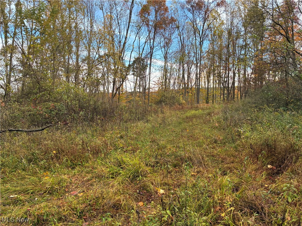 4277 Twin Sisters Road Cambridge, OH 43725 - Photo 7 of 27 View of property