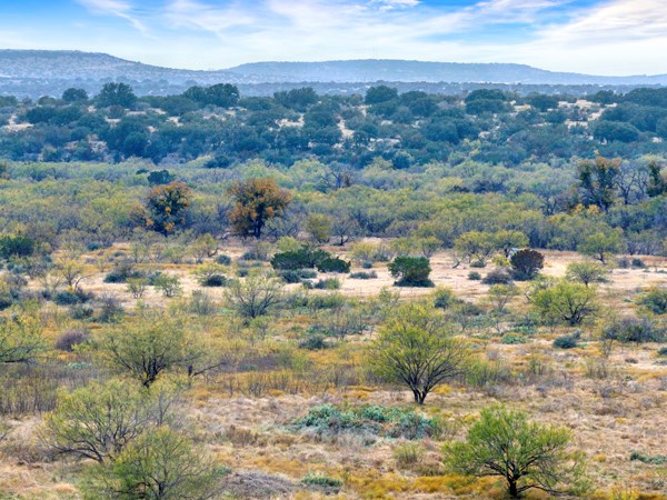 16033 Door Key Road San Angelo, TX 76904 - Photo 2 of 100 a view of a town with mountains in the background