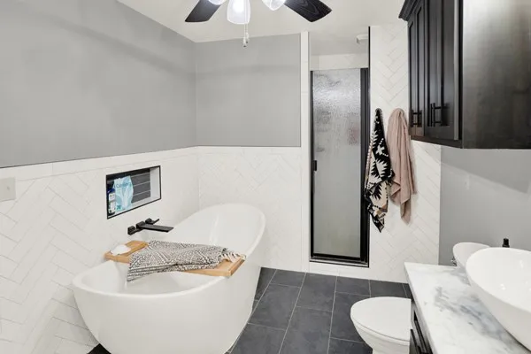 a picture of a tree with a plant