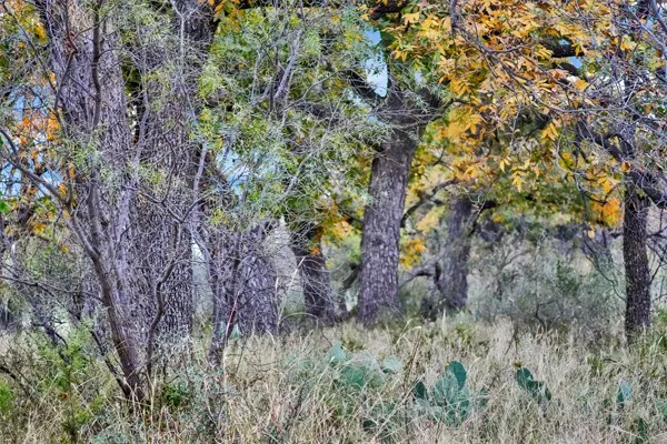 $2,550,000 | 16033 Door Key Road, San Angelo, TX 76904