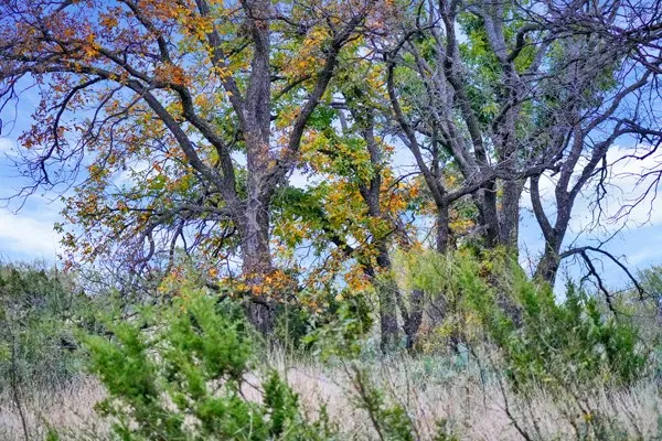 $2,550,000 | 16033 Door Key Road, San Angelo, TX 76904