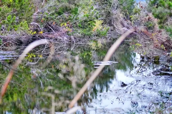 $2,550,000 | 16033 Door Key Road, San Angelo, TX 76904