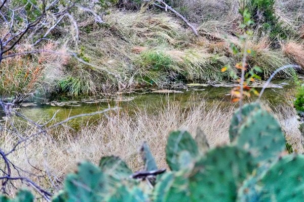 16033 Door Key Road San Angelo, TX 76904 - Photo 74 of 100 a view of a lake with a yard and large trees