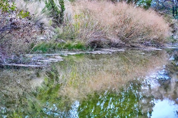 16033 Door Key Road San Angelo, TX 76904 - Photo 75 of 100 a view of a lake with large trees
