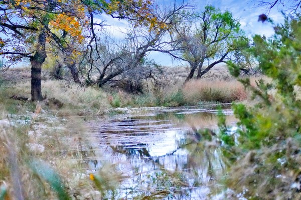 16033 Door Key Road San Angelo, TX 76904 - Photo 76 of 100 a view of lake with green space