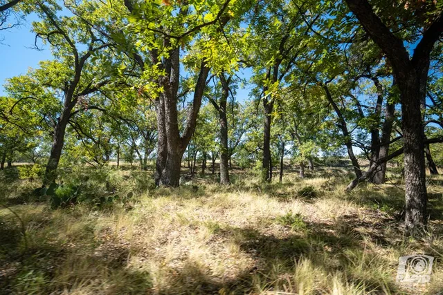 $2,550,000 | 16033 Door Key Road, San Angelo, TX 76904