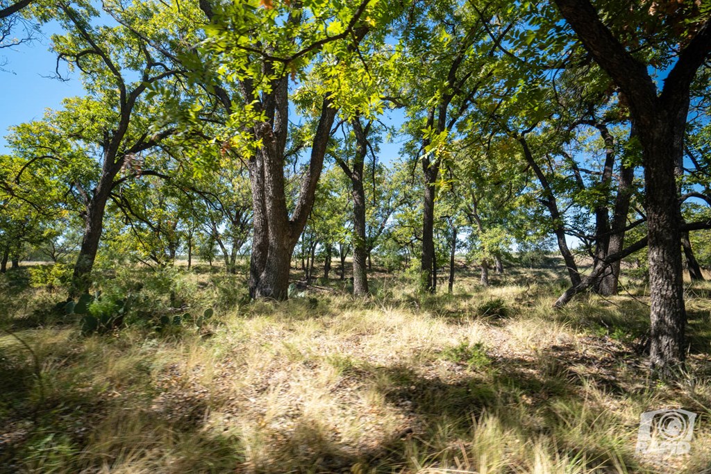 16033 Door Key Road San Angelo, TX 76904 - Photo 89 of 100