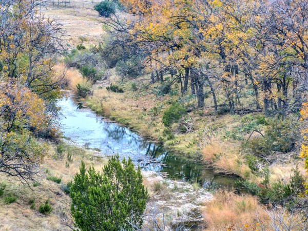 16033 Door Key Road San Angelo, TX 76904 - Photo 9 of 100 a view of a yard with plants and large trees