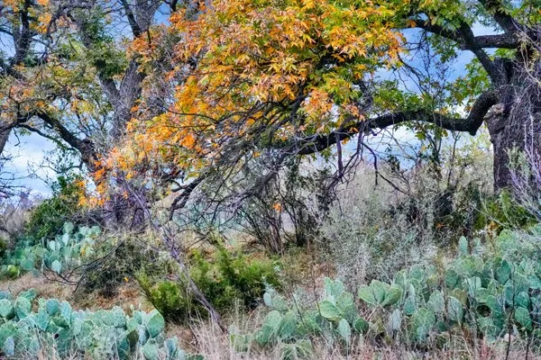 $2,550,000 | 16033 Door Key Road, San Angelo, TX 76904