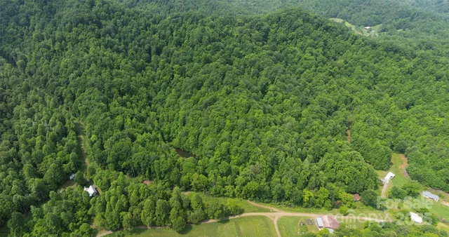 a view of a lush green forest with a lush green forest