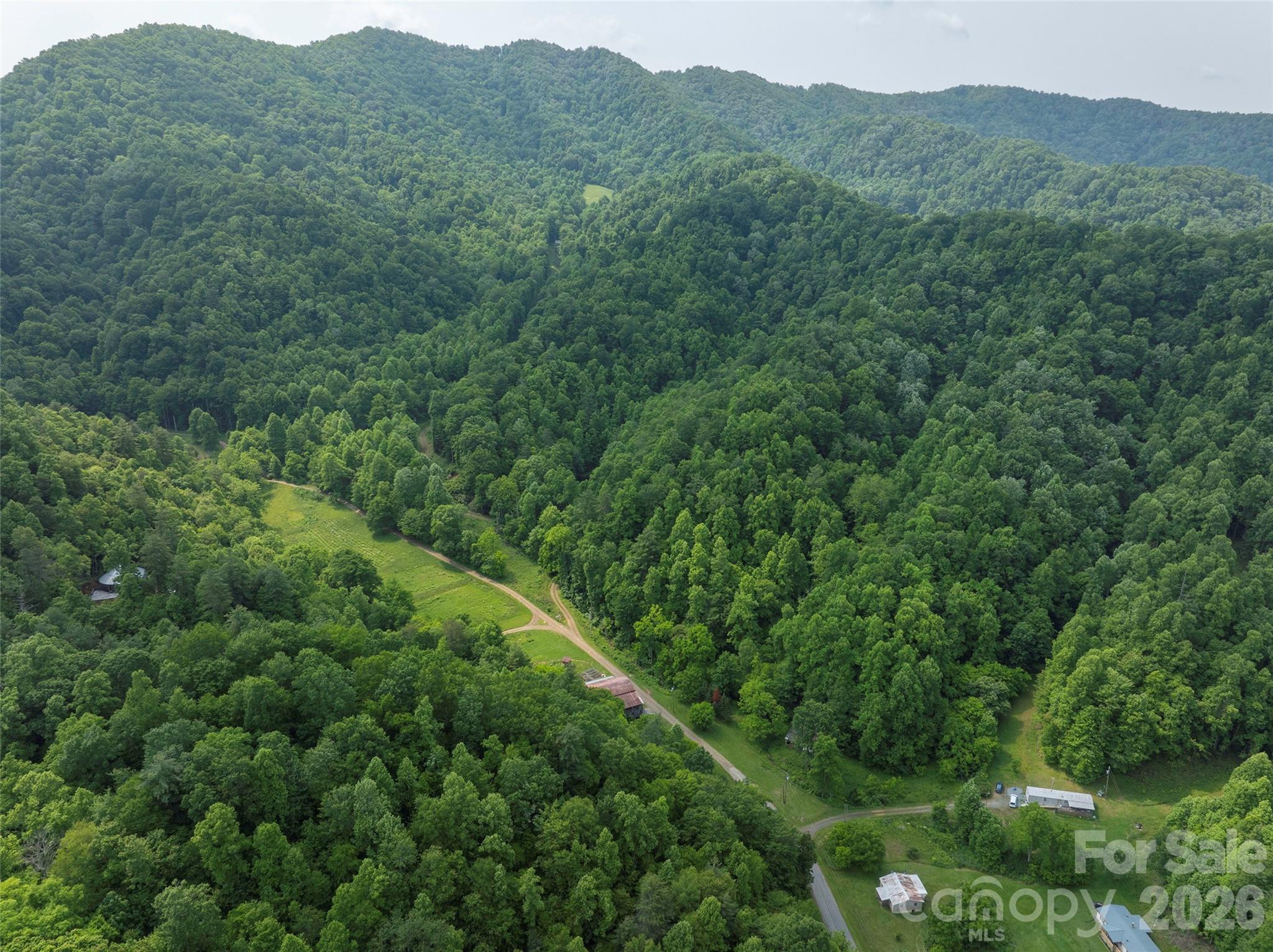 320 Board Tree Road Marshall, NC 28753 - Photo 12 of 13 a view of a lush green forest with a mountain in the background