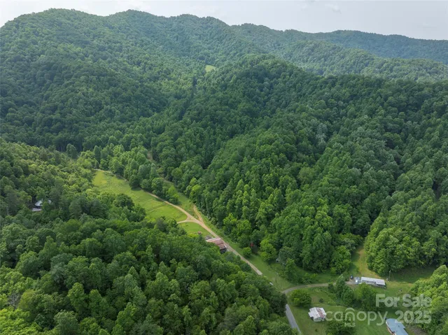 a view of a green field with lots of bushes
