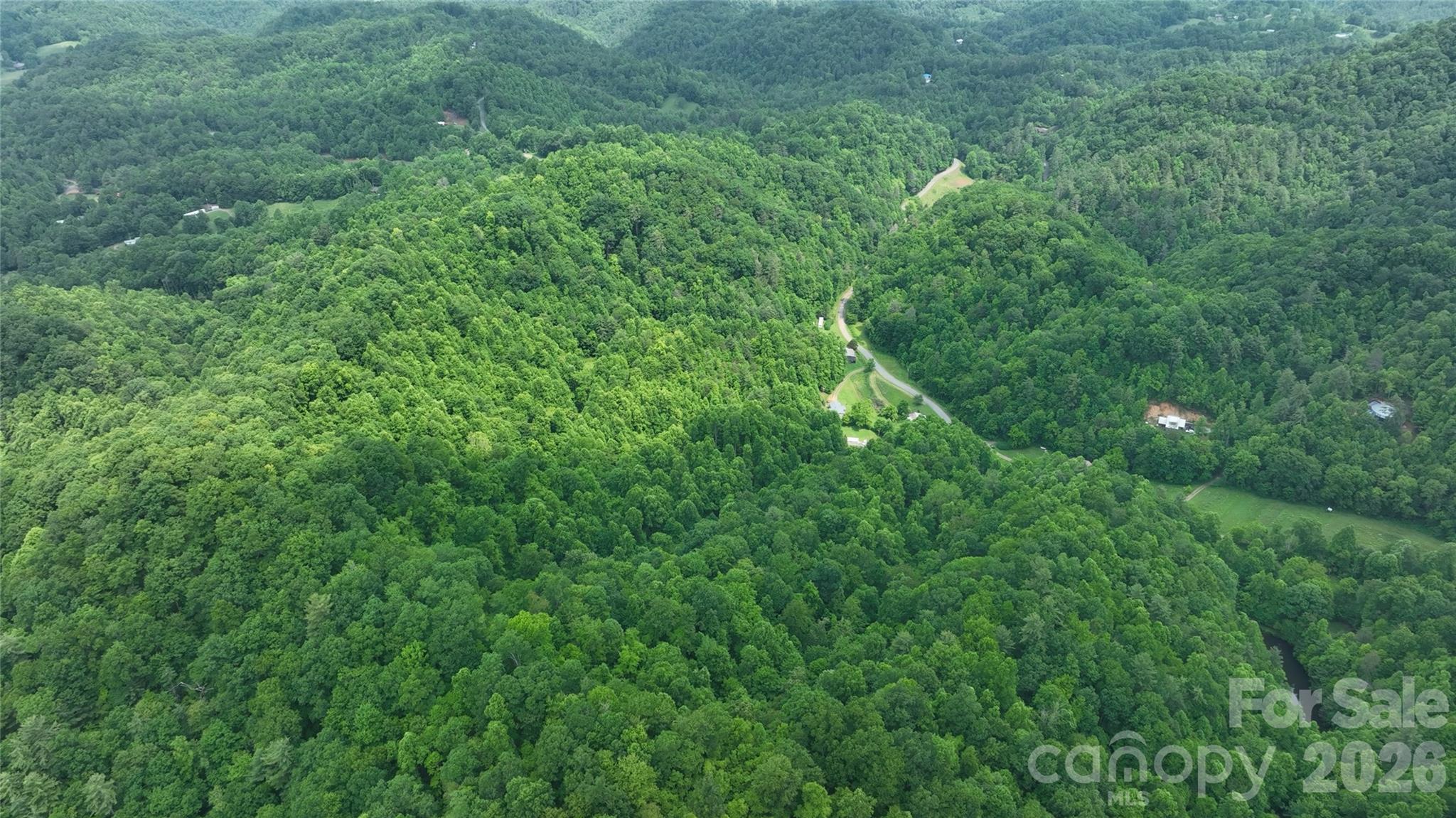 320 Board Tree Road Marshall, NC 28753 - Photo 2 of 13 a view of a lush green space