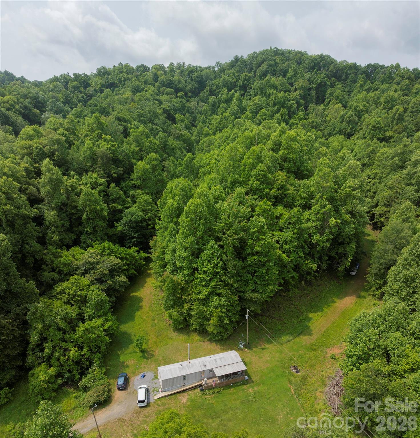 320 Board Tree Road Marshall, NC 28753 - Photo 4 of 13