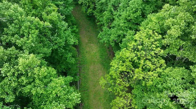 a view of a lush green space