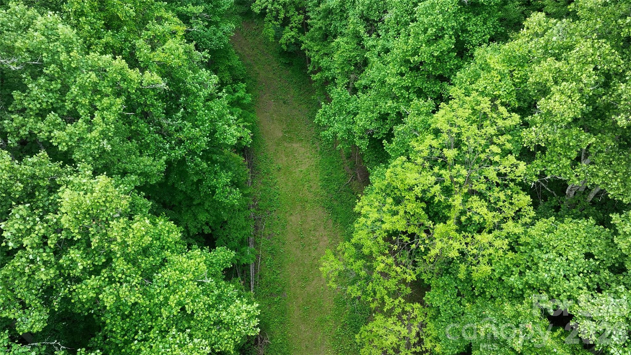 320 Board Tree Road Marshall, NC 28753 - Photo 10 of 13 a view of a garden