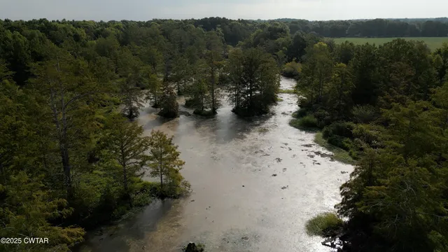 a view of a yard with a house