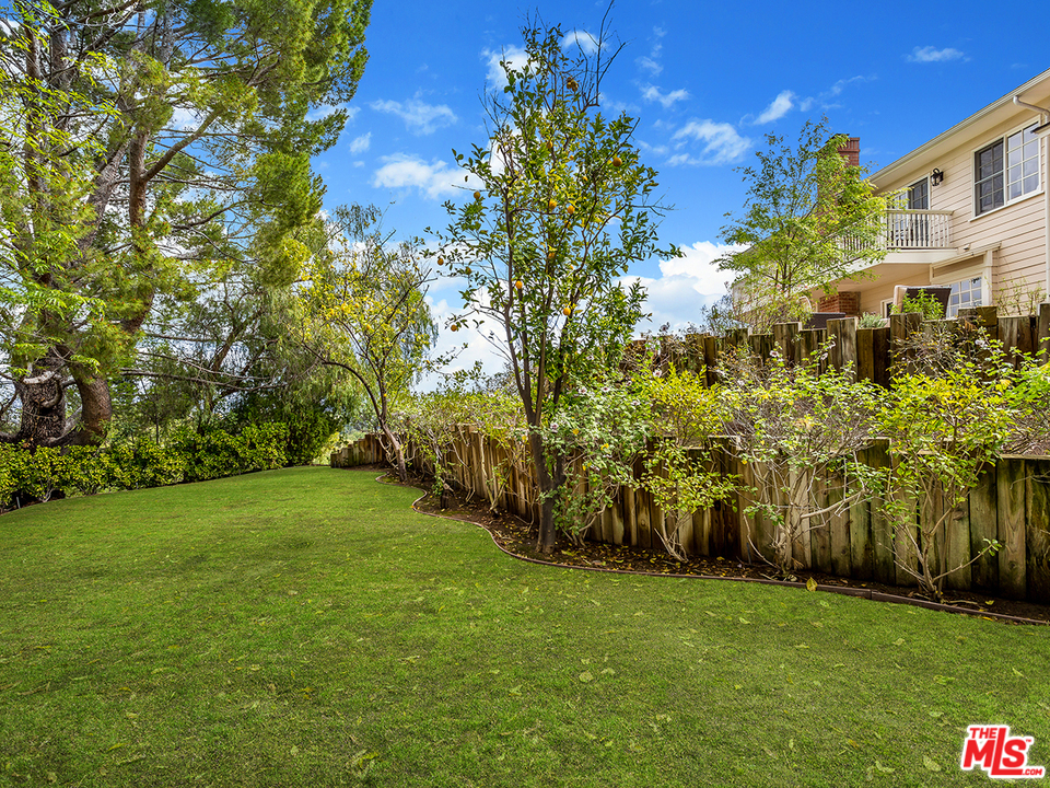 24835 Jacob Hamblin Road Hidden Hills, CA 91302 - Photo 24 of 29 a view of a trees with a yard