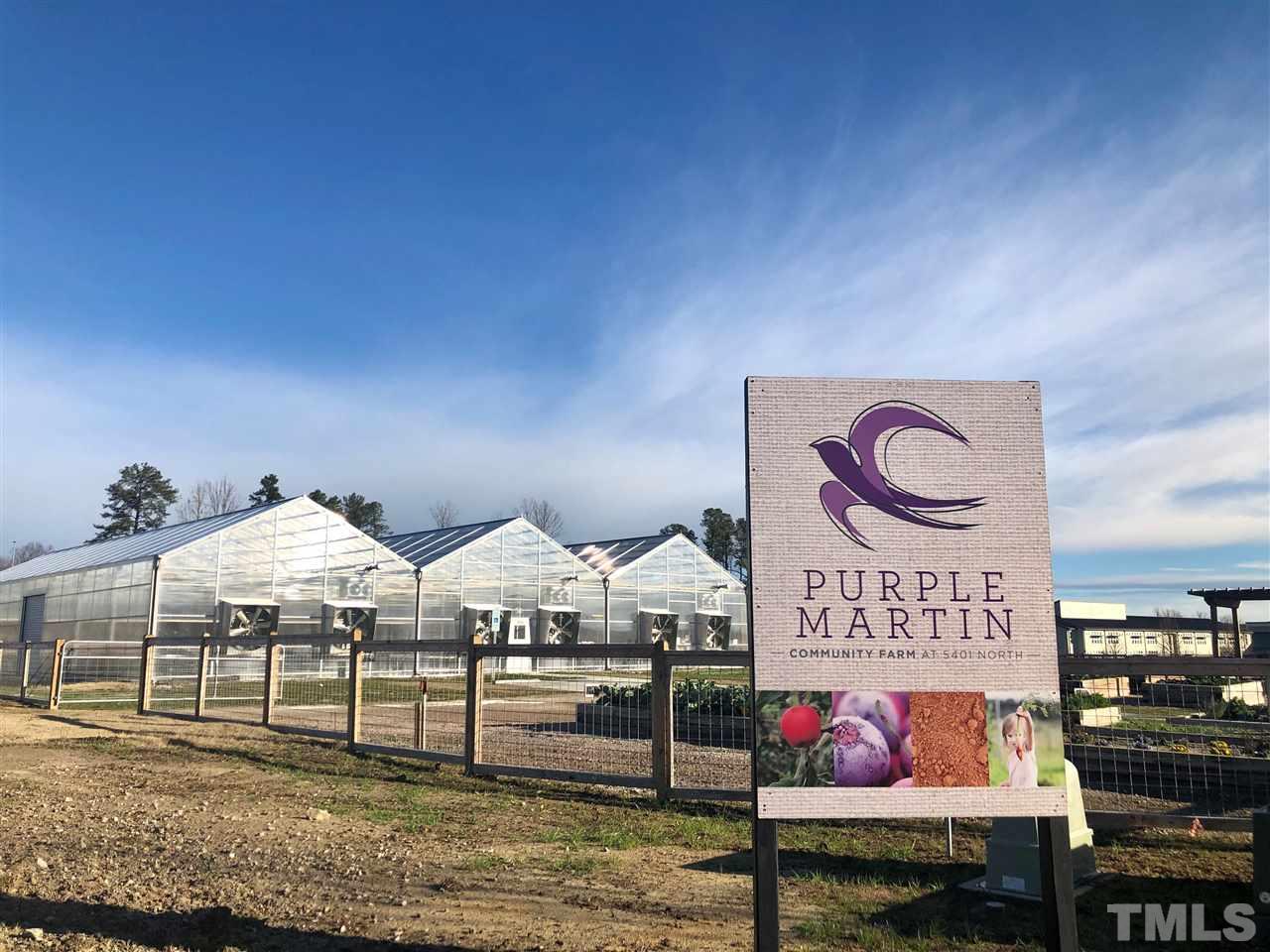 5108 Beckom Street, Unit 2169 Raleigh, NC 27616 - Photo 10 of 13 Gallery Image 10