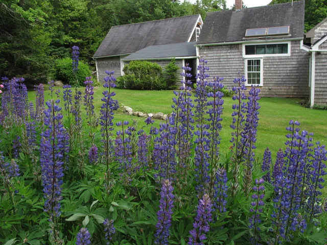 $385,000 | 55 Upper Sylvan Street, Stockton Springs, ME 04981