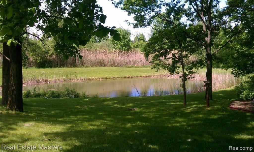 VIEW OF POND FROM DECK
