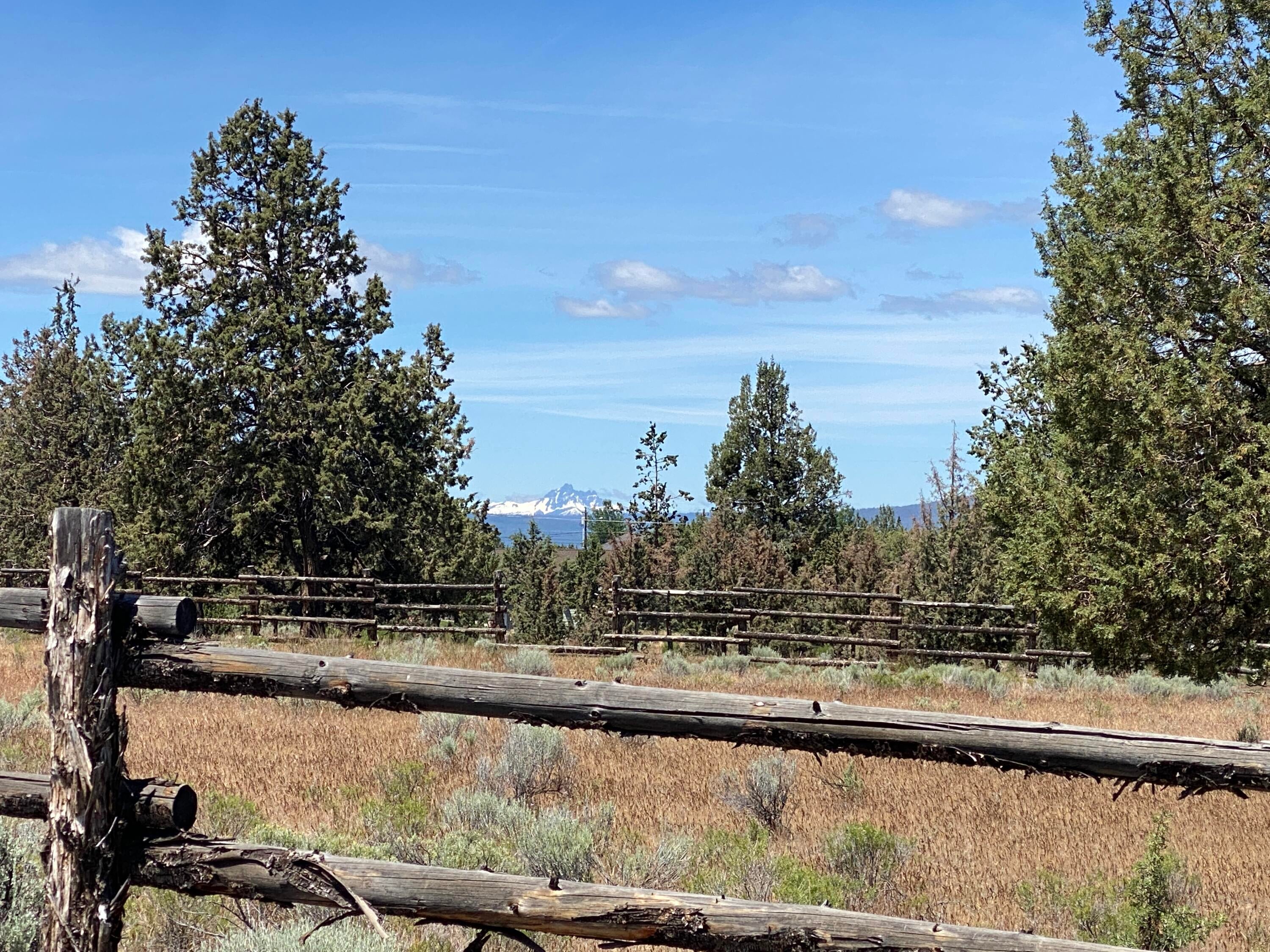 Lot 292 Southwest Shad Road Terrebonne, OR 97760 - Photo 11 of 14 IMG_0947