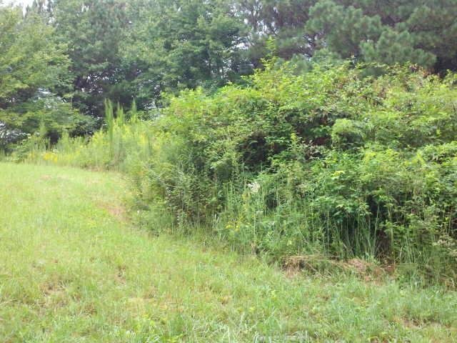 0 Stewart Road Jasper, GA 30143 - Photo 1 of 1
