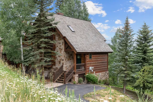 a view of a garden with an umbrella