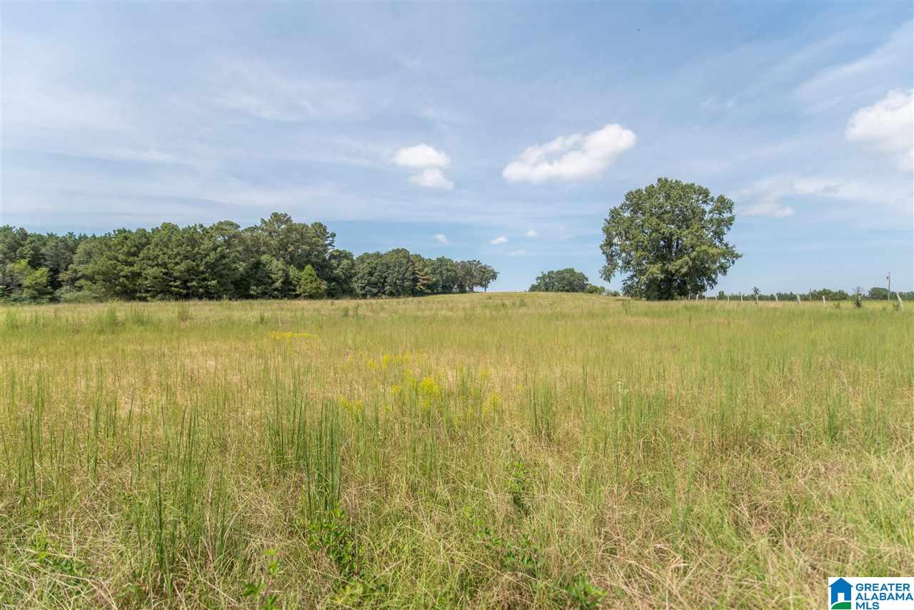 205 County Road 3 Reform, AL 35481 - Photo 42 of 46
