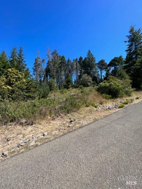 36018 Sea Ridge Road The Sea Ranch, CA 95497 - Photo 14 of 17