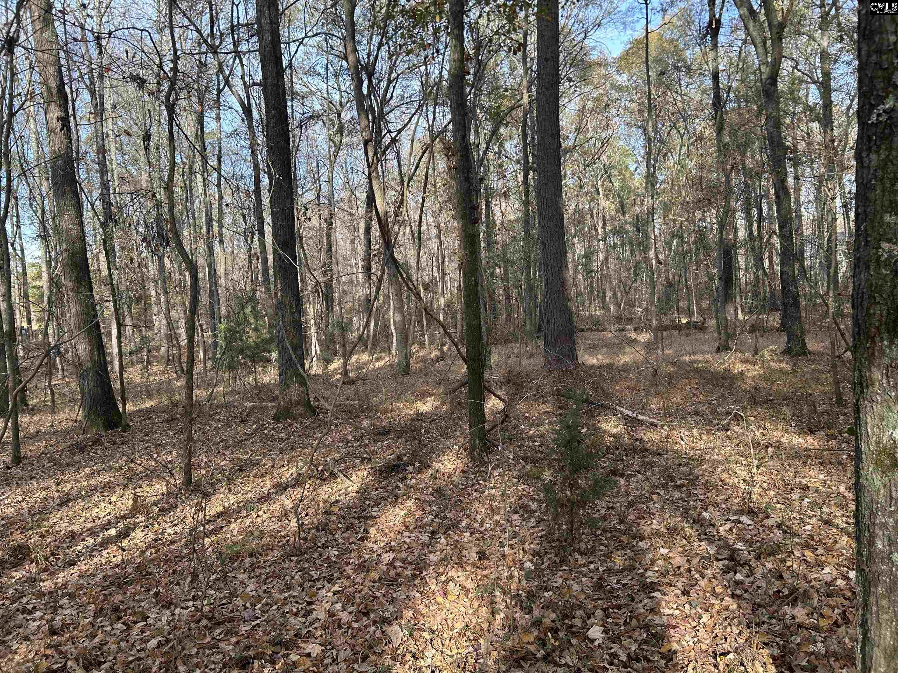 440 Paschal Road Elgin, SC 29045 - Photo 23 of 23