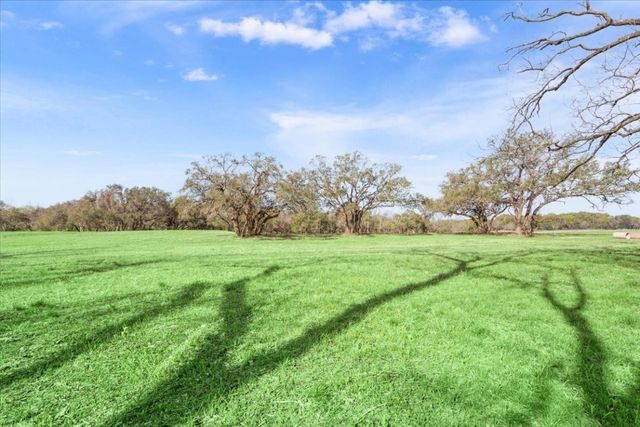 a view of grassy field with trees