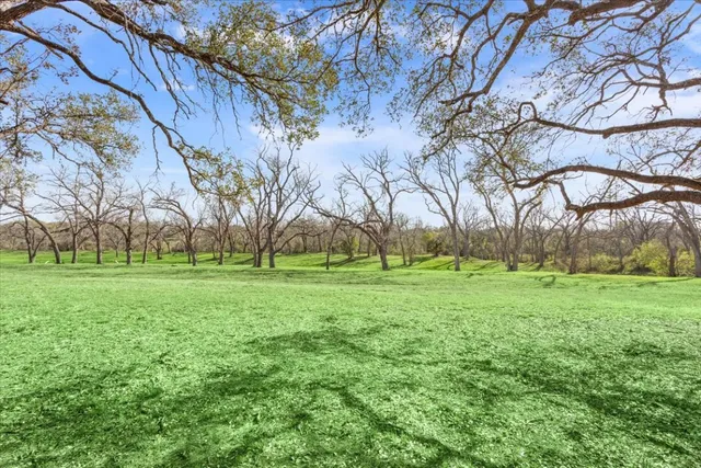 a view of an outdoor space and yard