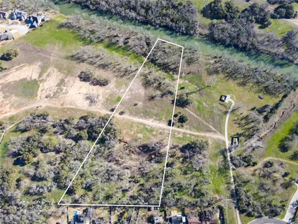 a view of a yard with plants and trees
