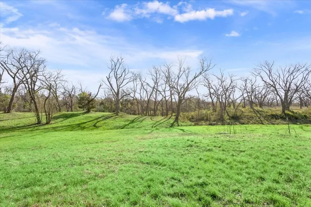 a view of field with trees in the background