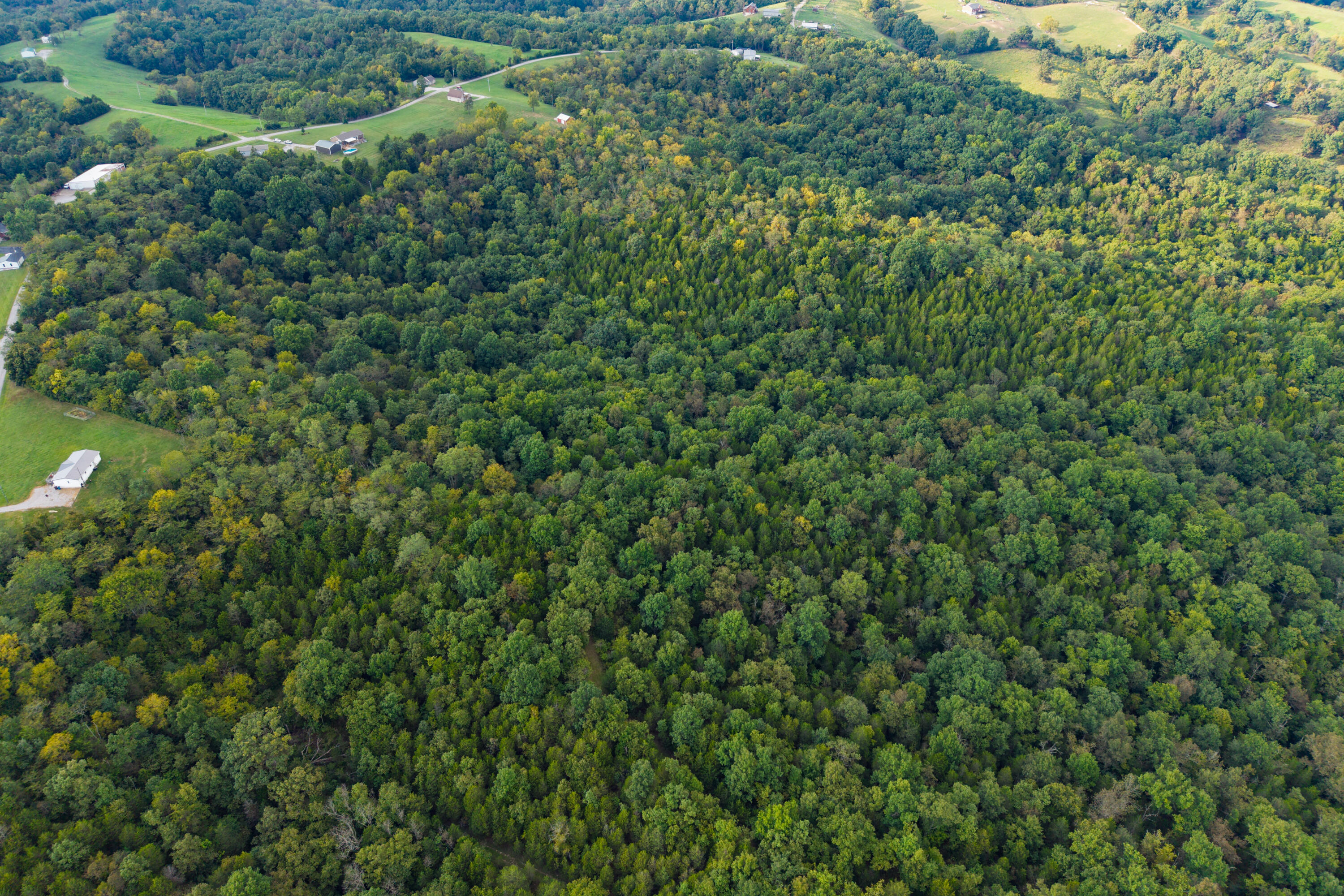 3926 Hogg Ridge Road Williamstown, KY 41097 - Photo 76 of 92 HoggDrone-12