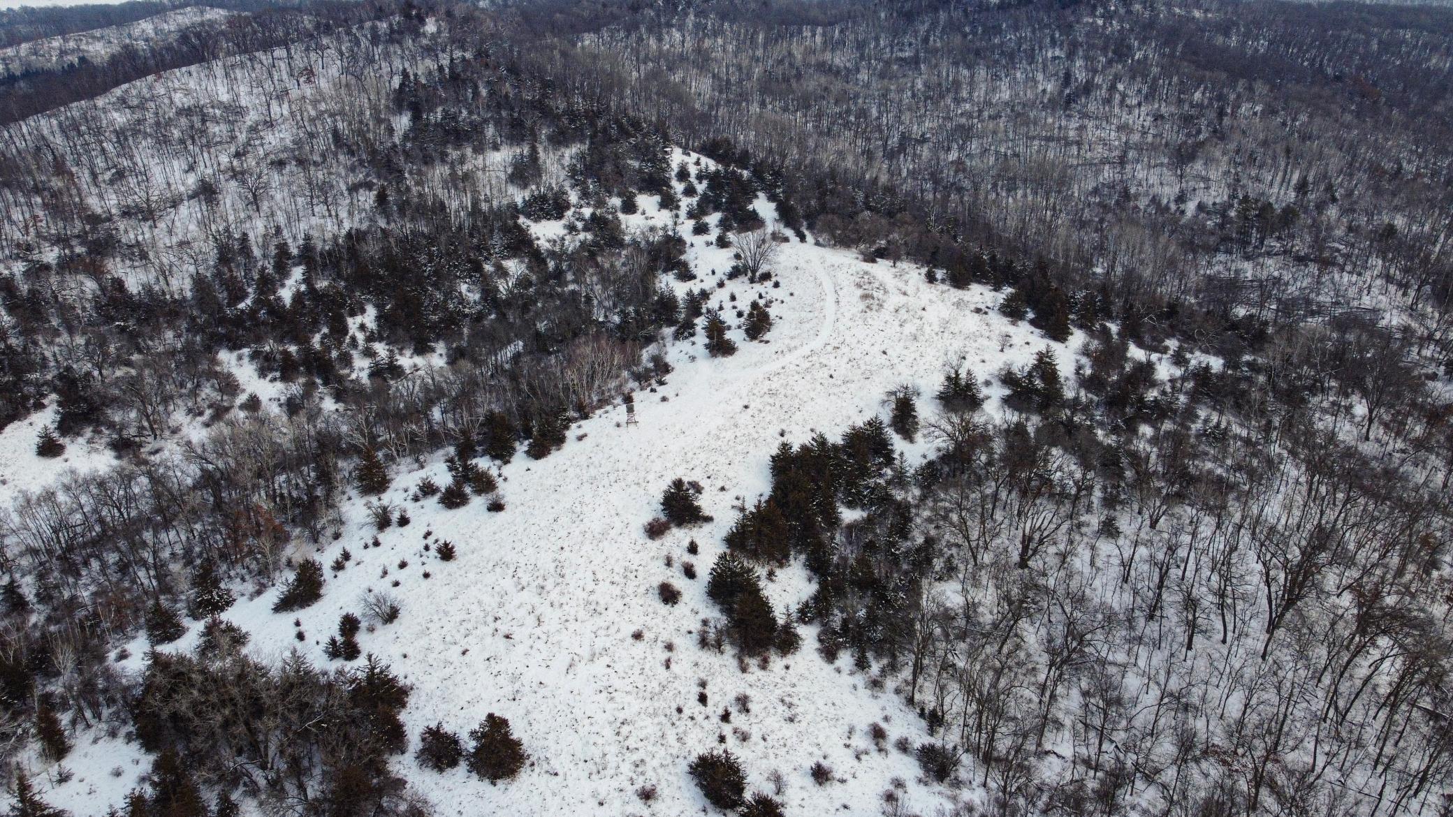 W3740 Evenson Road Mindoro, WI 54644 - Photo 15 of 53